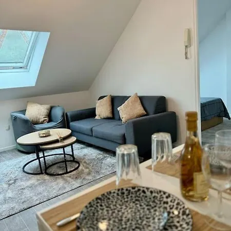 Superbe Appartement Tres Calme Et Confortable Reims Exterior photo
